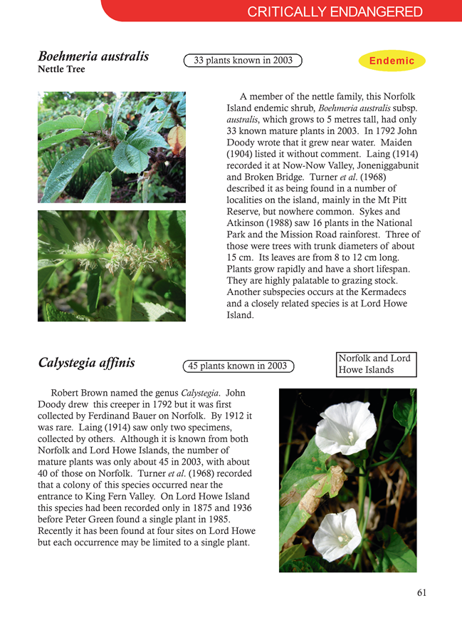 Description: Description: Description: Description:Flora_sample_pages_files\image002.png