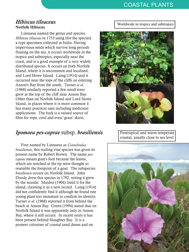 Description: Description: Description: Description: Flora_sample_pages_files\image003.png